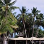 亿万28下载后如何注册账号,快速入门指南 34gti1b