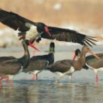 亿万28app的用户评价:真实体验分享 3ul4j