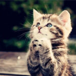 亿万28:如何利用科技提升投资回报率 ah2vc