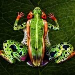 亿万28:如何评估投资项目的可行性 cilj28l4sj