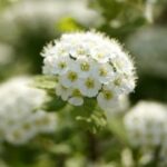 亿万28app的成功案例:真实用户的赚钱故事 e48fclkq1q