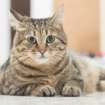 亿万28app的财务管理:记录你的每一笔交易 exql6