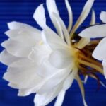 亿万28:成功创业者的财富积累之道 haj0xx