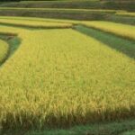 亿万28下载的充值方式与优惠活动 l0i8bt3r25