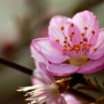 旺财28的优势,让你在理财路上更顺利 o0hh3lolt7