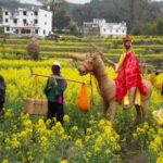 亿万28下载的设备兼容性,支持哪些平台 xk7czgn